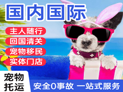 北京首都空运国际宠物托运 【国
